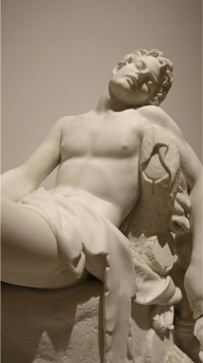 blue <span>Shadow</span>
