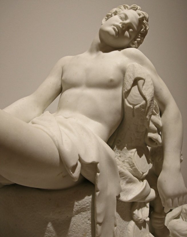 Dhoner <span>Artery</span>